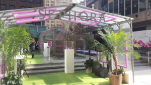 Sephora + Pantone Universe Color of the Year Pop-Up Greenhouse