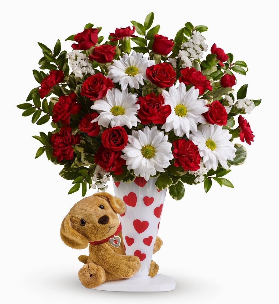 Teleflora-Send-a-Hug-I-Ruff-You-Bouquet-For-Valentines-Day