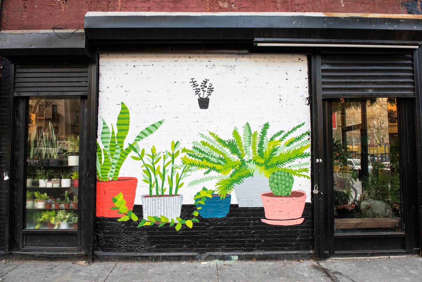 Shop 84. Black storefront houseplants.