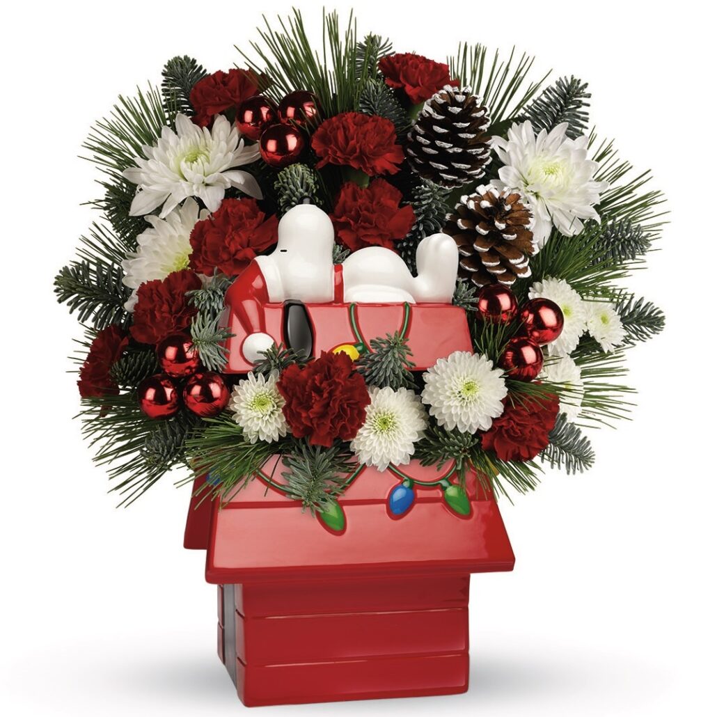 NEW Snoopy Cookie Jar Bouquet byTeleflora