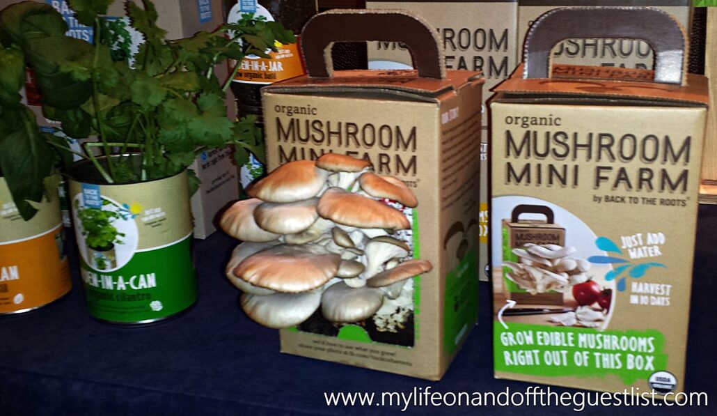 Back_to_the_Roots_Mushroom_Mini_Farm_www.mylifeonandofftheguestlist.com