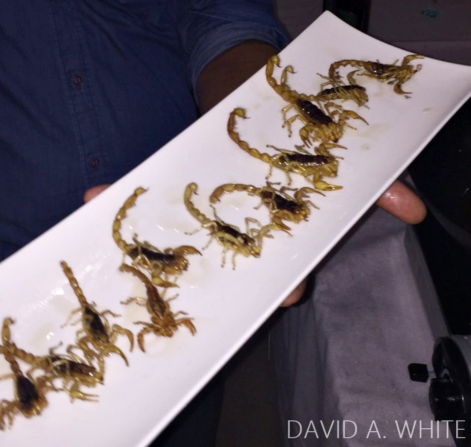 pan-fried-scorpions-david-a-white