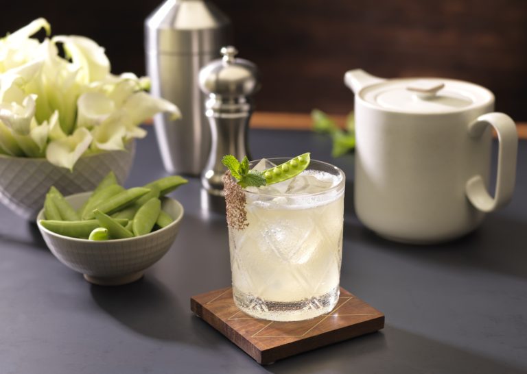 patron margarita bottle shaker patron margarita bottle shaker