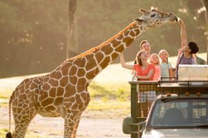 What’s New for Spring and Summer Travel at Busch Gardens