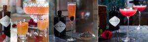 Hendrick’s Gin Fall Cocktails: A Delicious Way to Fight Off Your Cold