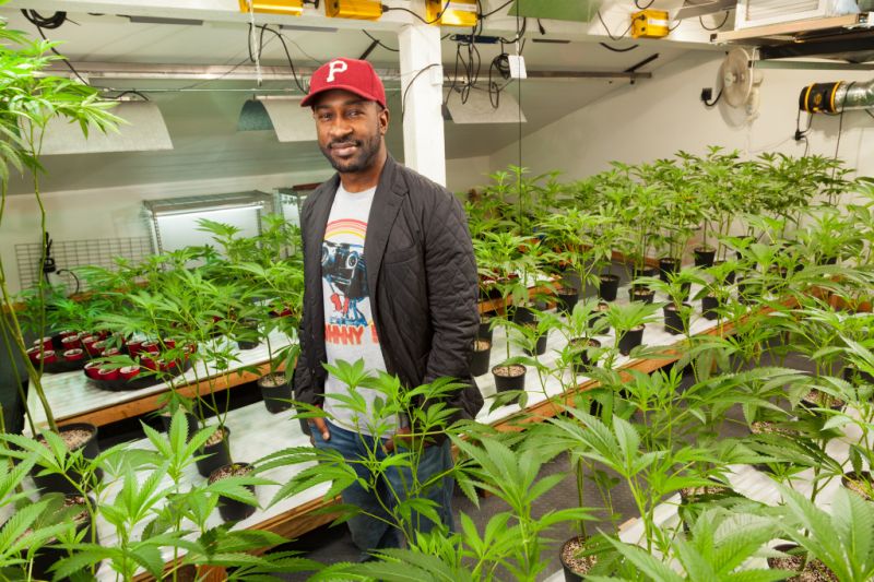 black owned cannabis growers