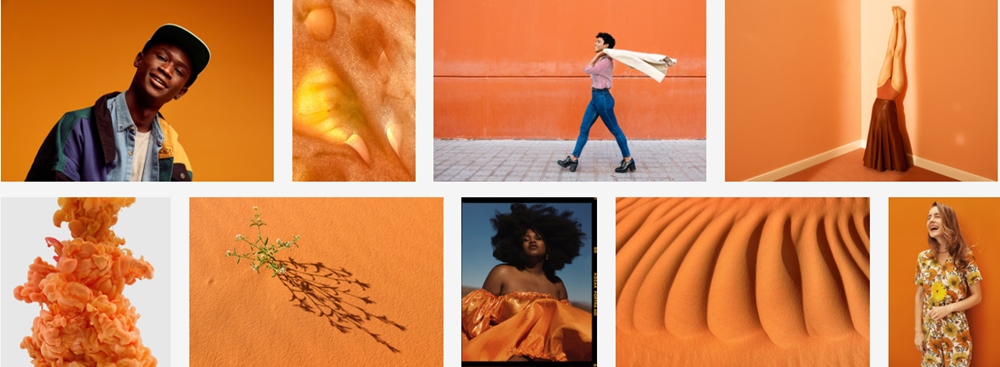 Adobe Stock Pantone Color Trend Report SS2020