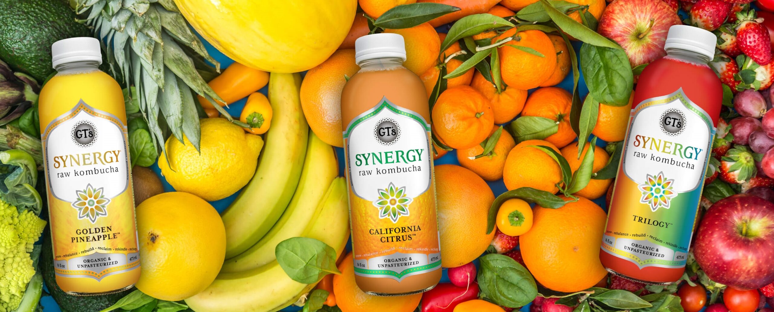 Celebrate National Kombucha Day to Help Your Dry January Journey - SYNERGY Kombucha 