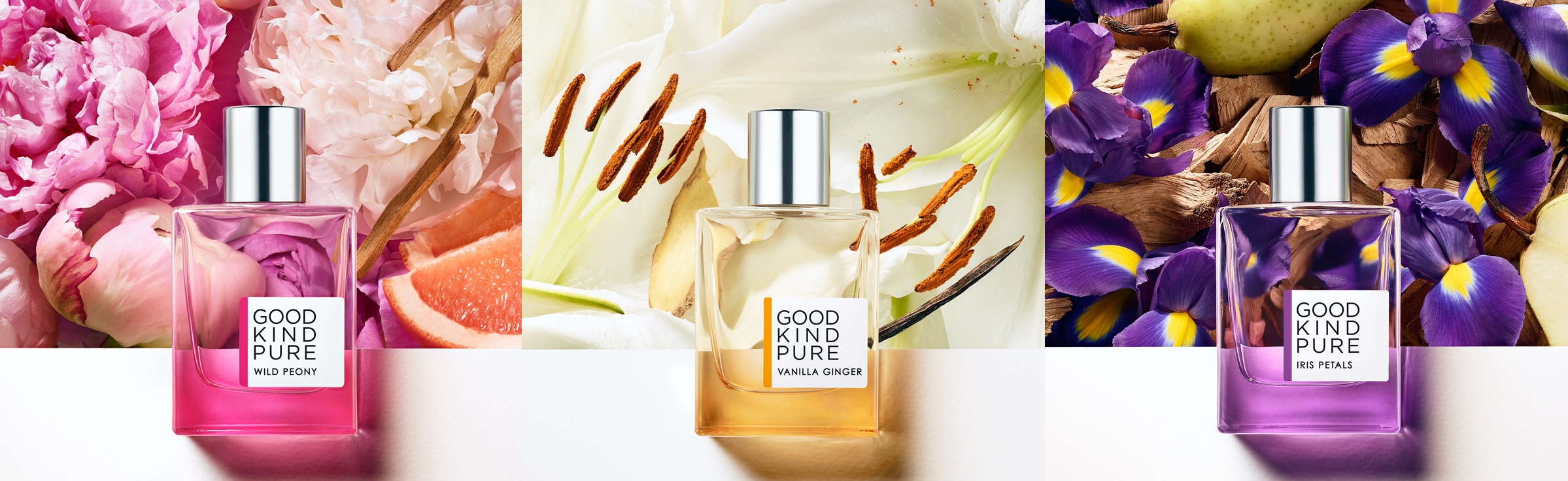 Good Kind Pure- Vanilla Ginger, Perfume for Women, 1.0 FO 