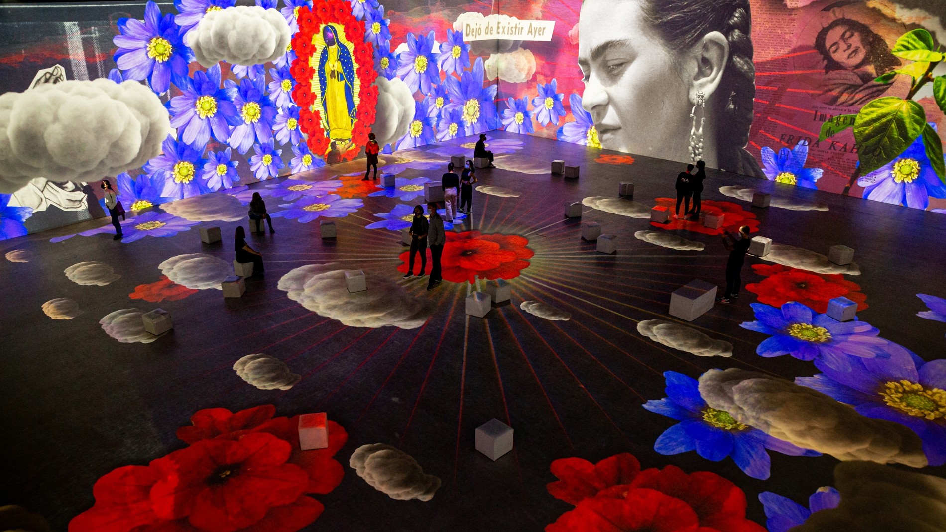 Frida Kahlo Immersive Exhibit Opens in Brooklyn