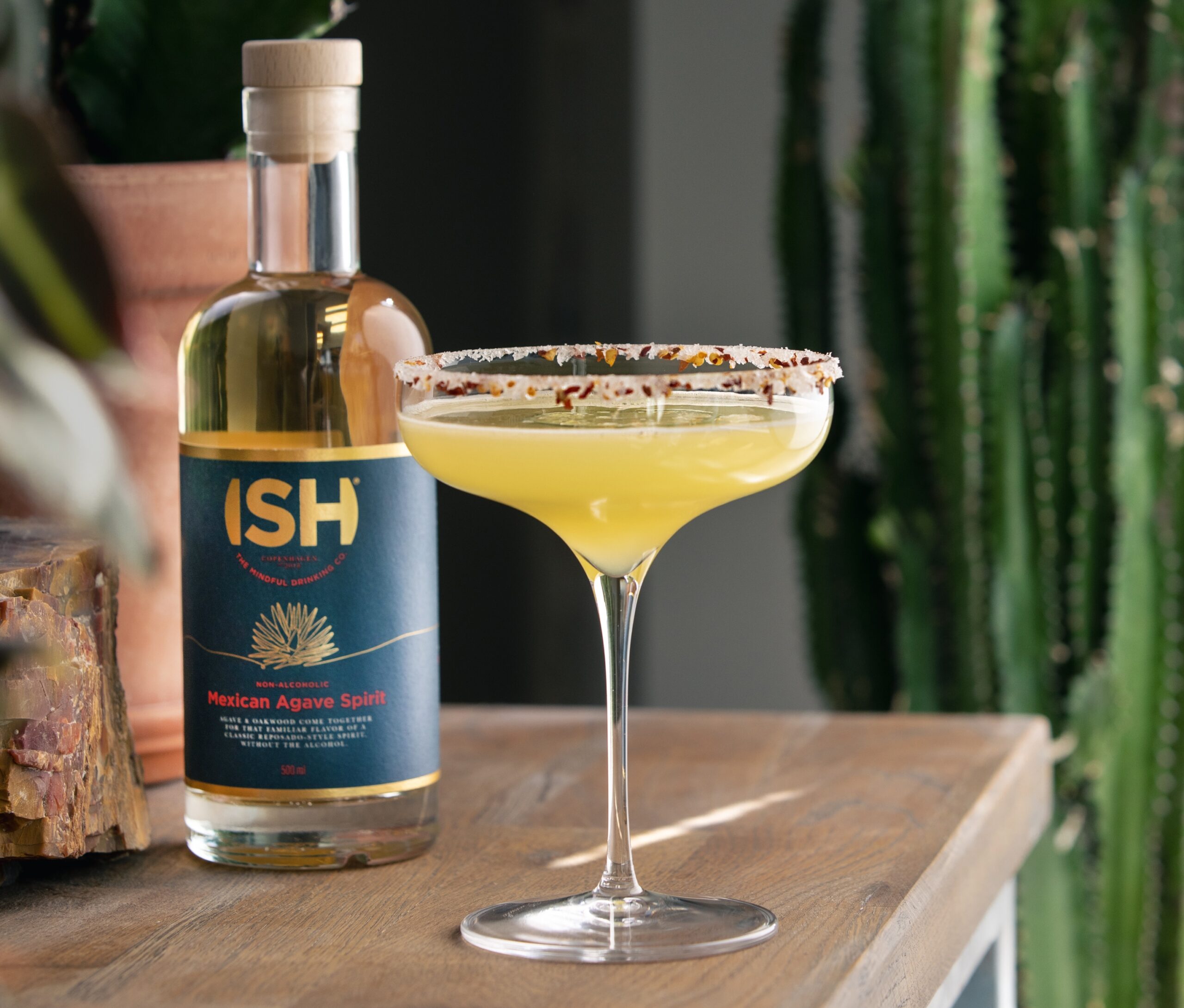 Raising a Non-Alcoholic Glass of ISH Spirits to Dry January