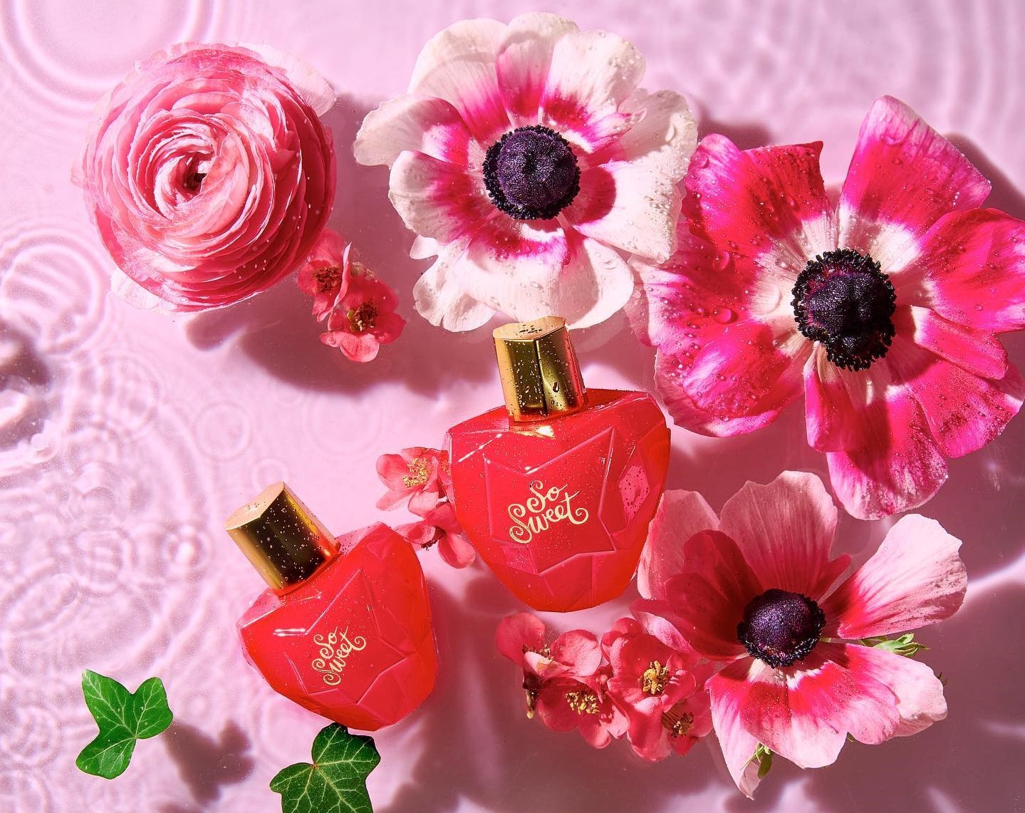 Lolita Lempicka Fragrances Makes American Debut at JCPenney