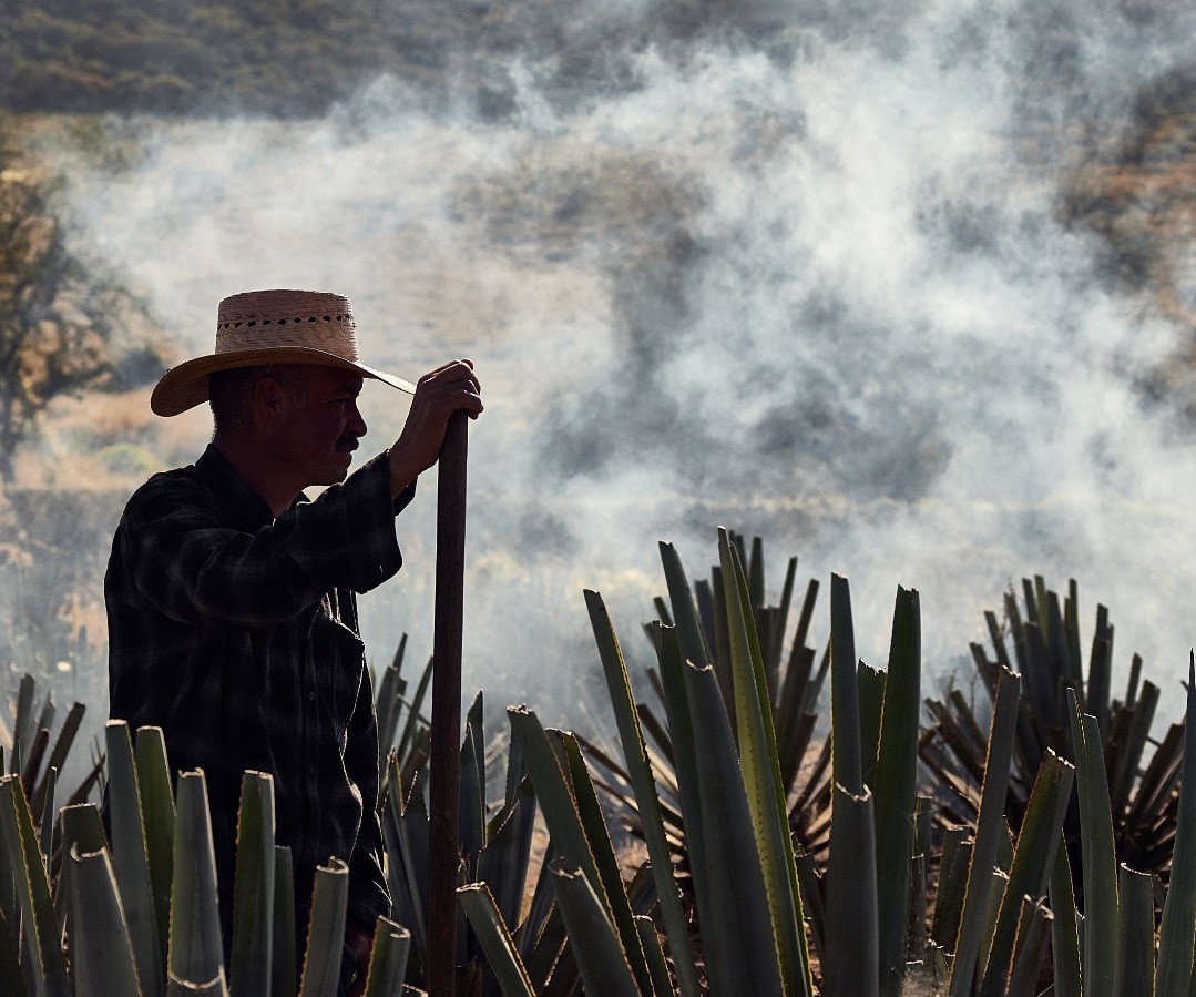 Cierto Tequila Honors and Celebrates Mexico’s History