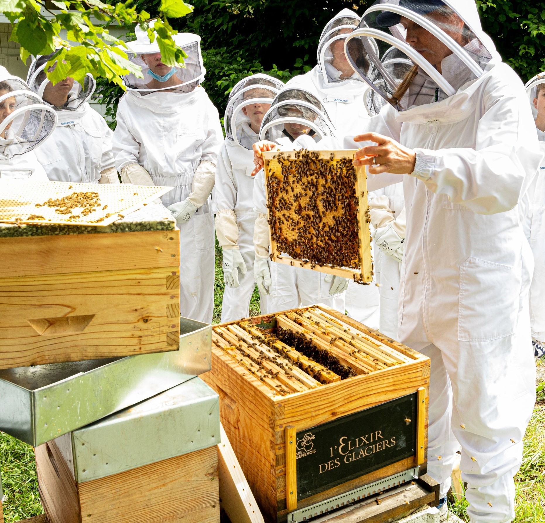 Geneva-based beekeeper and head of the Arche des Abeilles Foundation