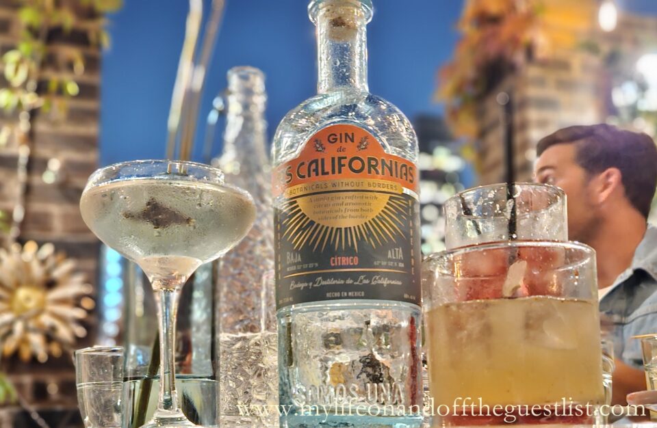 A Golden Hour with Las Californias Gin and Adhel Martinez
