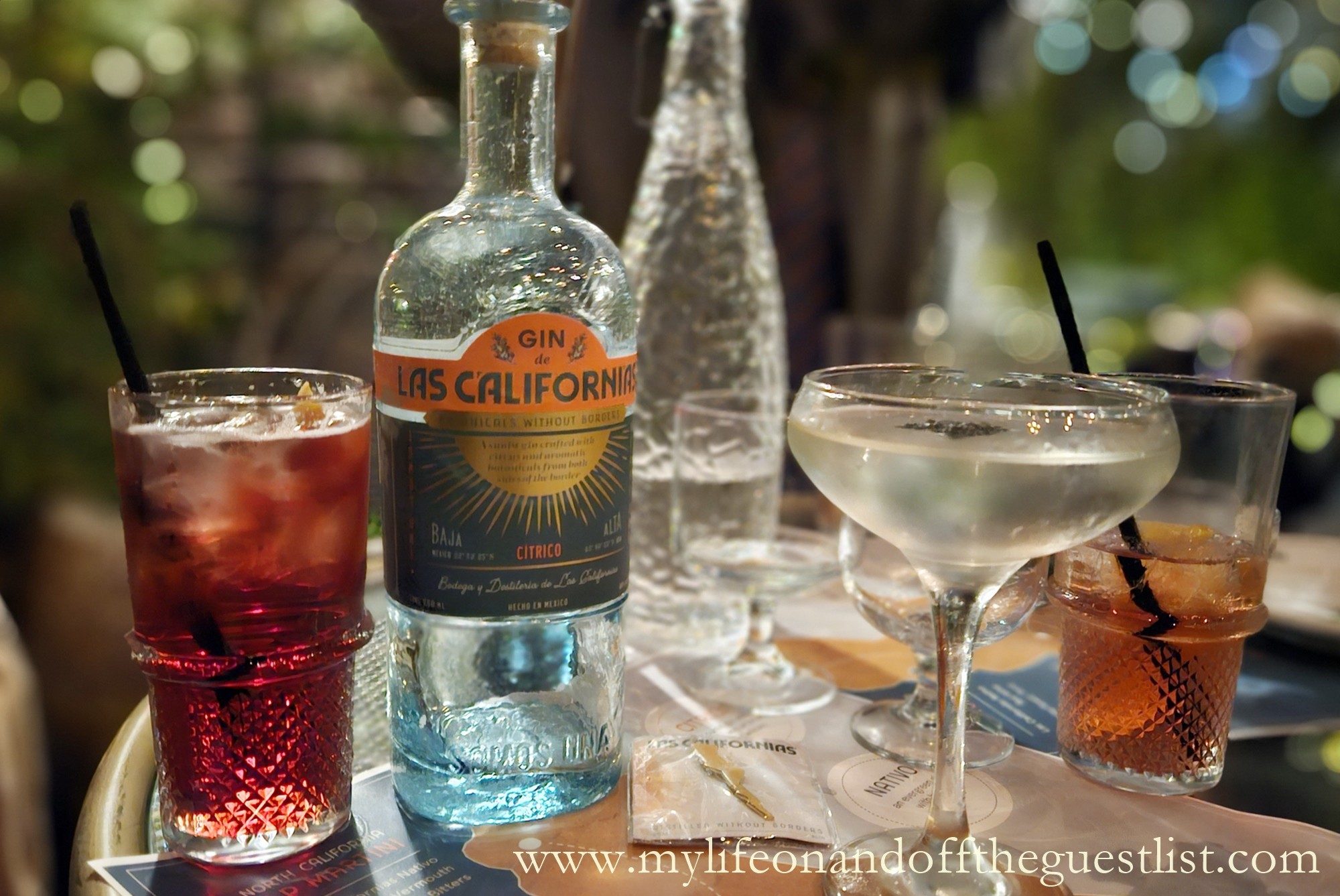 A Golden Hour with Las Californias Gin and Adhel Martinez