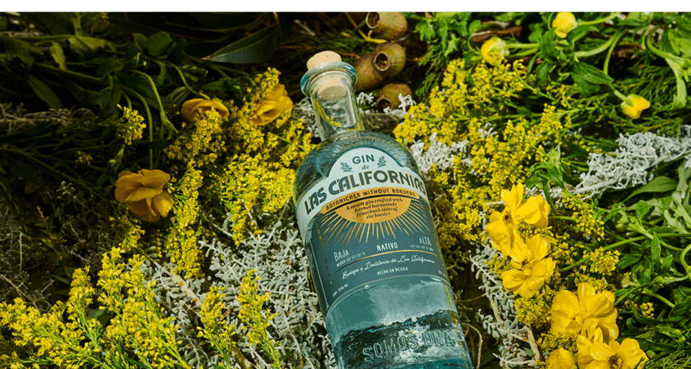 A Golden Hour with Las Californias Gin and Adhel Martinez