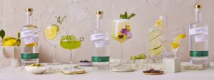 Introducing Empress 1908 Cucumber Lemon Gin