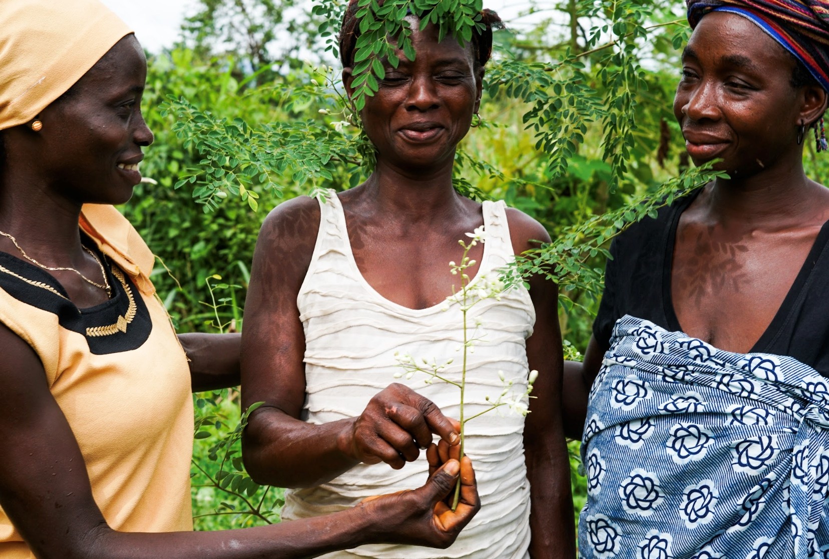 True Moringa Launches New 2-Ingredient Shea & Moringa Balm