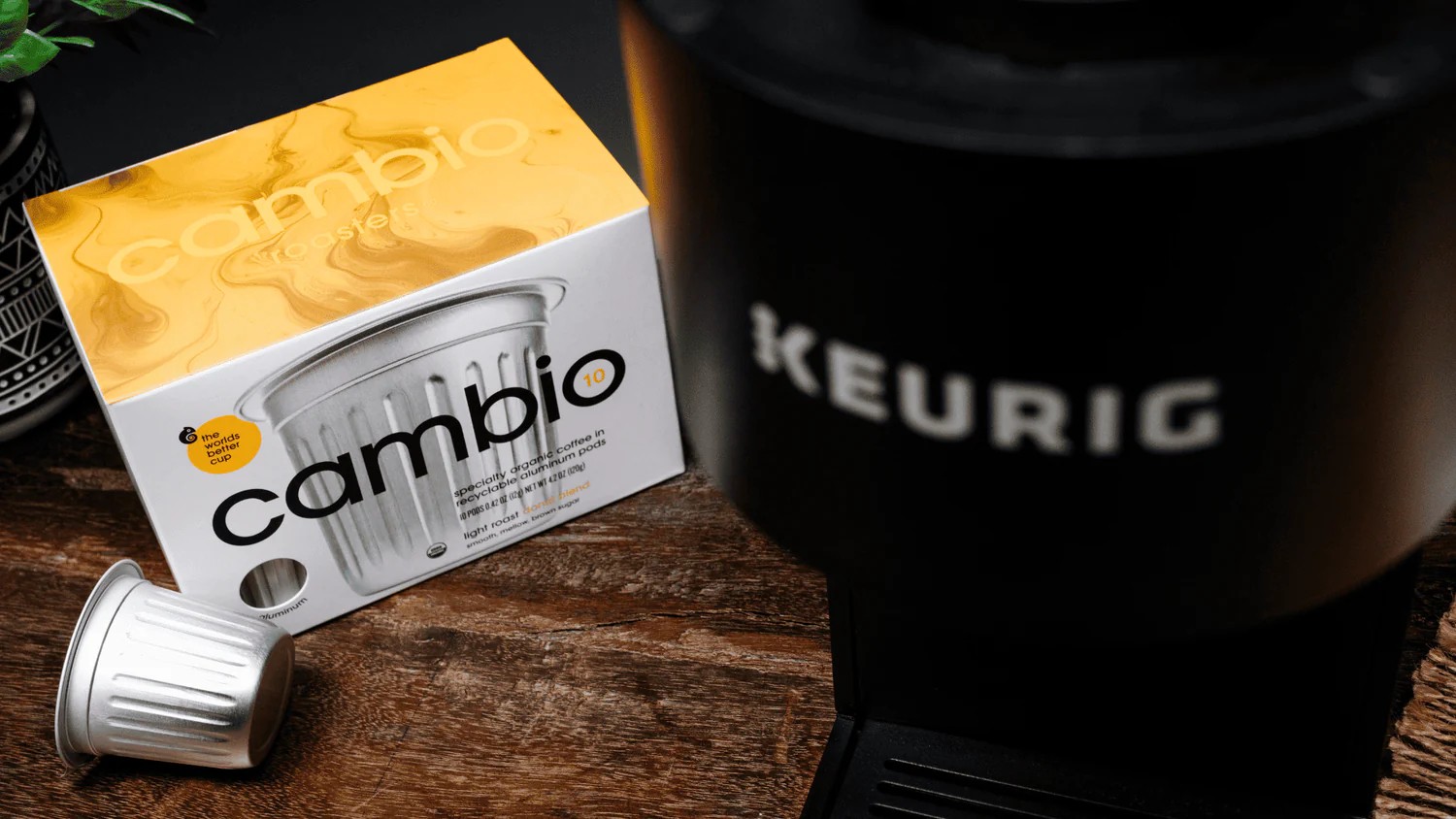 Brewing Change: Cambio Roasters’ Sustainability Impact