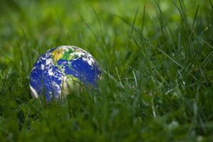 How to Go Green in Your Everyday Life: Practical Tips