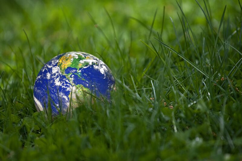 How to Go Green in Your Everyday Life: Practical Tips