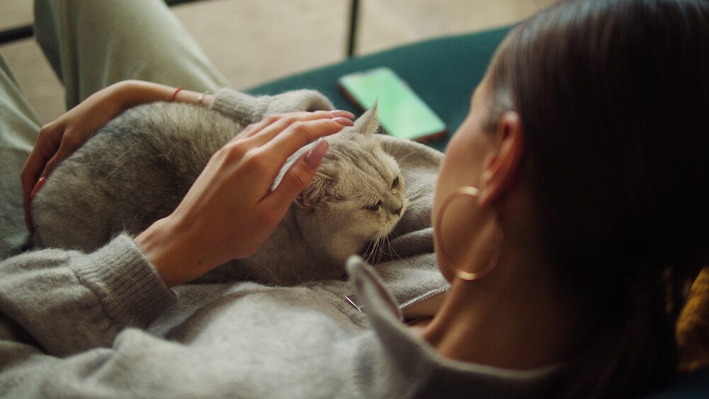 Fizz, Fur & Film: Relaxing with Pets and a Pour After Hours