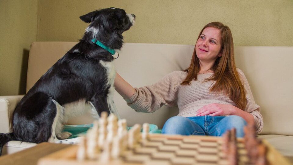 Fizz, Fur & Film: Relaxing with Pets and a Pour After Hours