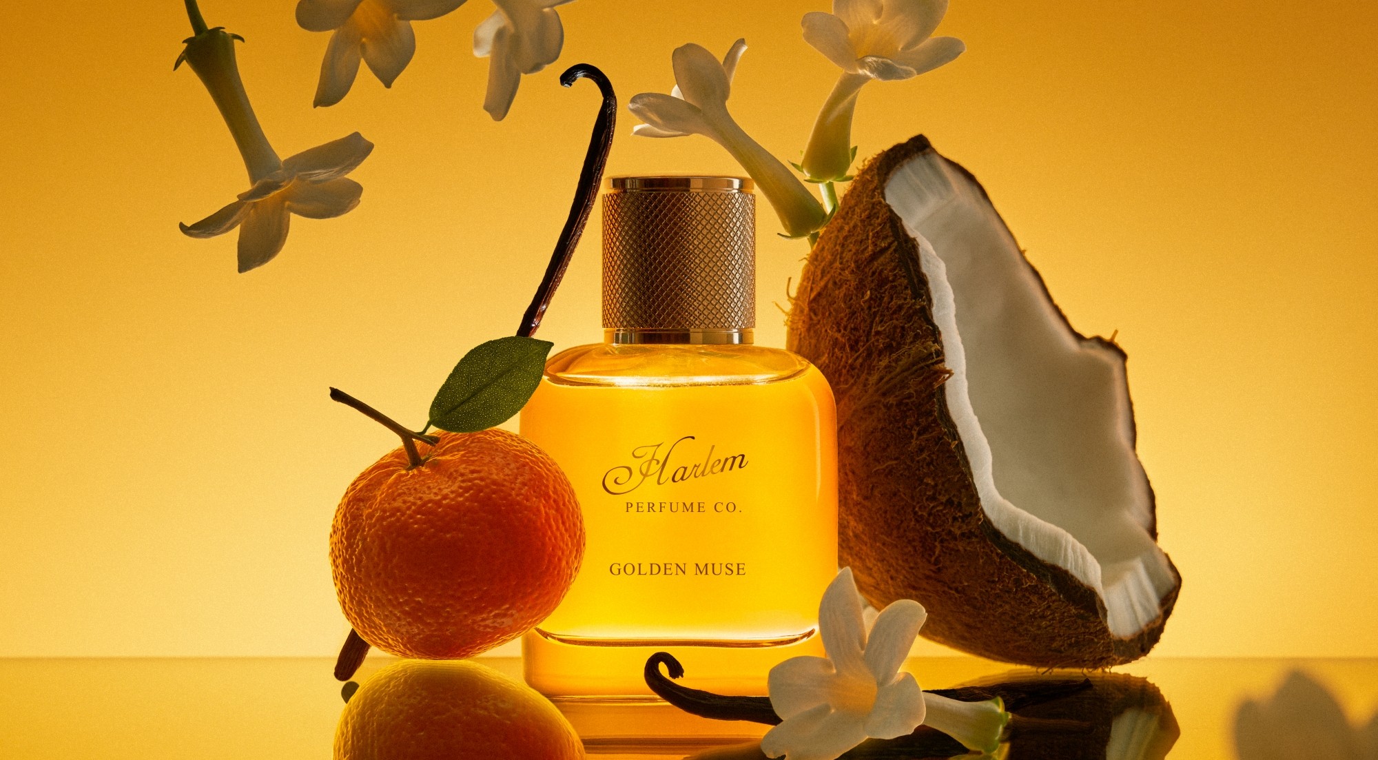 Harlem Perfume Co. Launches on Sephora with New Fragrances