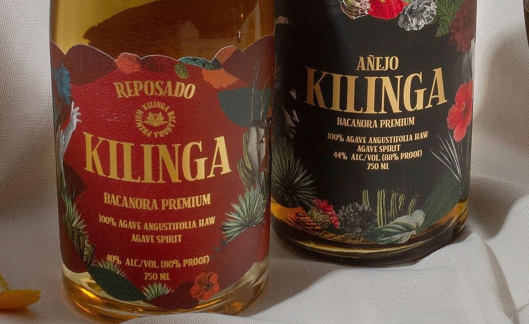 Kilinga Bacanora: Discover Sonora’s Artisan Agave Spirit