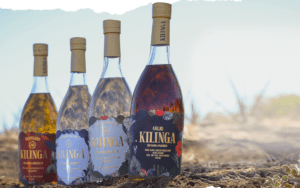 Kilinga Bacanora: Discover Sonora’s Artisan Agave Spirit