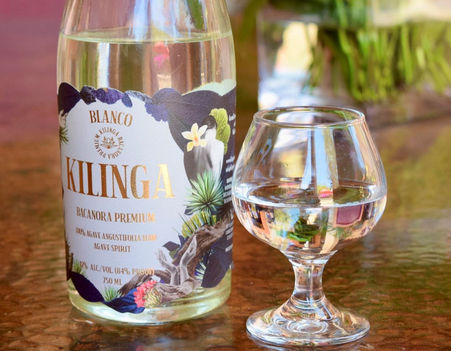 Kilinga Bacanora: Discover Sonora’s Artisan Agave Spirit