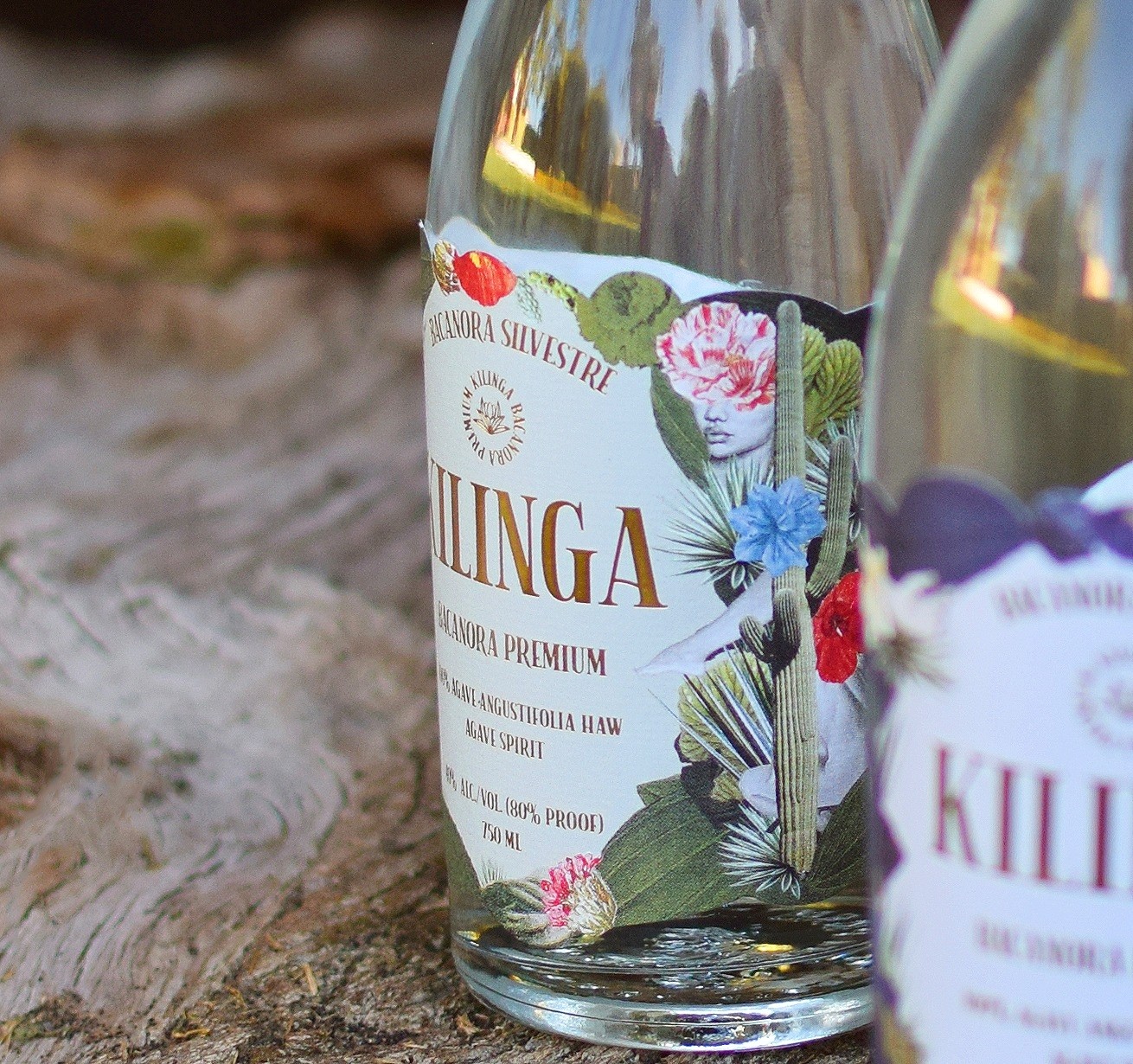 Kilinga Bacanora: Discover Sonora’s Artisan Agave Spirit