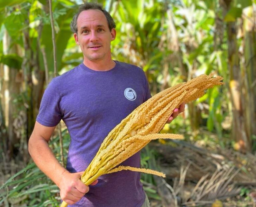Coconut Sugar Benefits: The Sweet Summer Swap You Need to Try